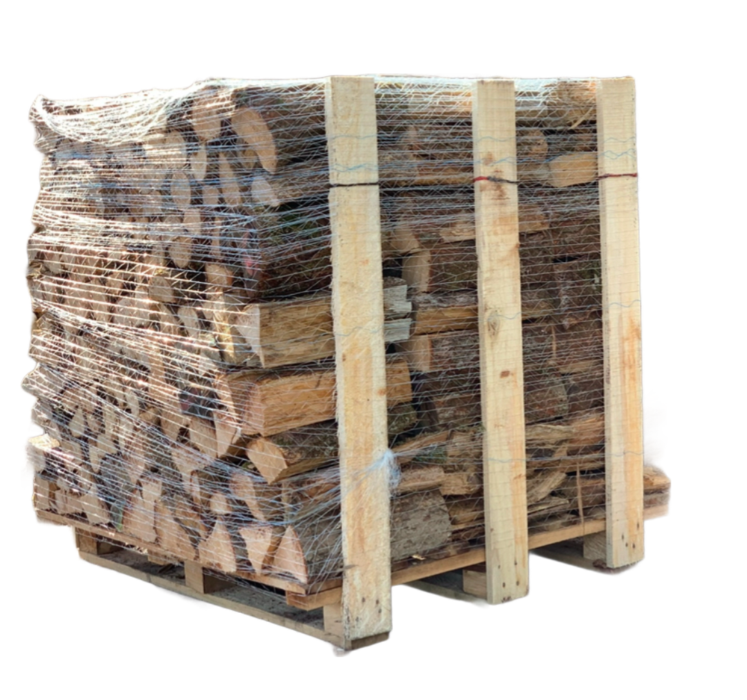 instories_3127F3A3-1B90-4C61-AD71-18806B73ECAB